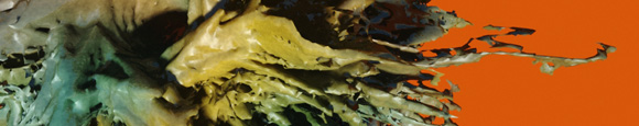 abstract 1